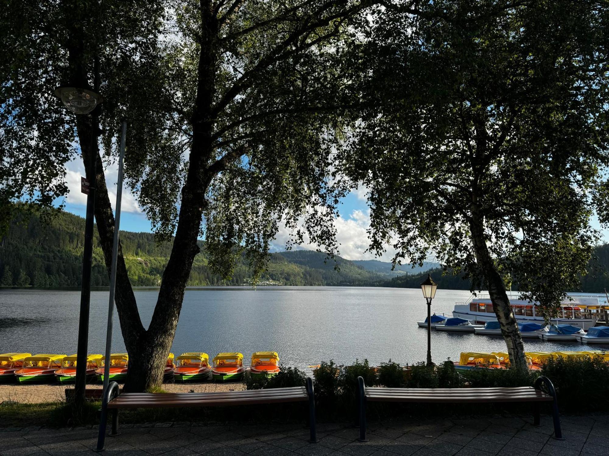Apartamento Panoramablick Mit Privatparkplatz, 2 Balkone Und 1,5 Baeder Titisee-Neustadt Exterior foto